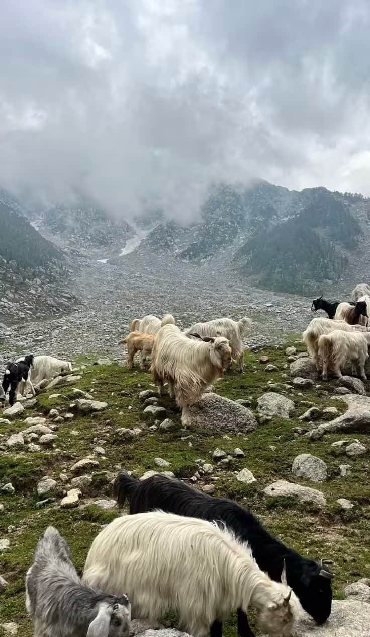 Kareri Lake Trek photo 1