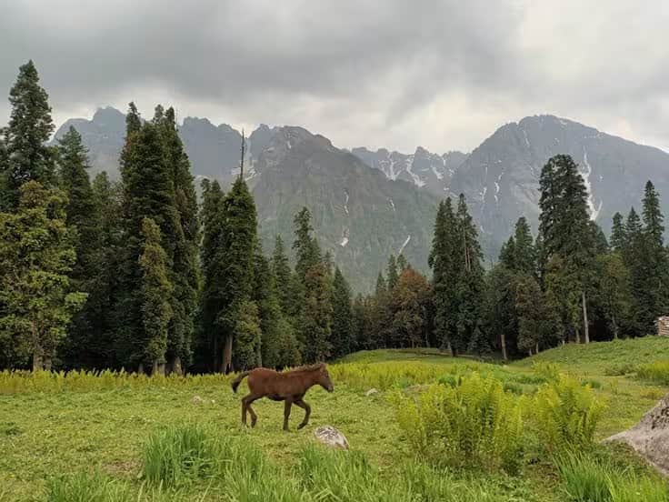 Buran Ghati Trek photo 1
