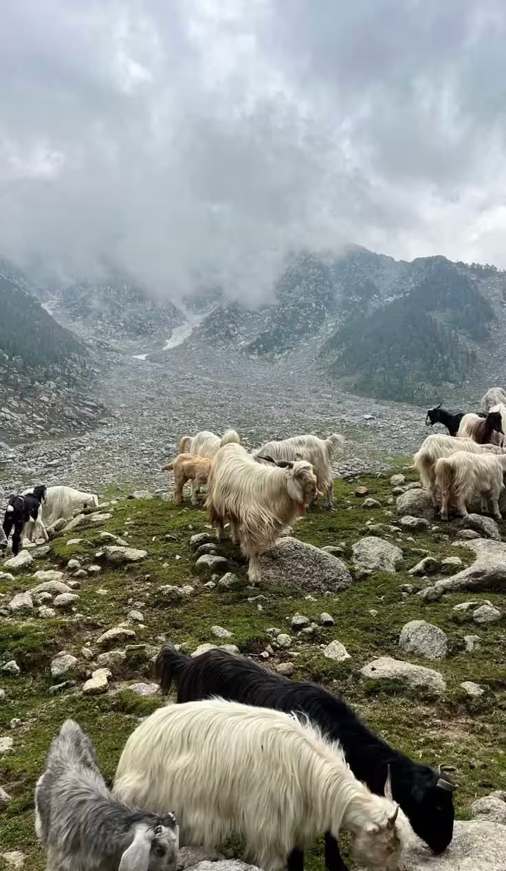 Kareri Lake Trek