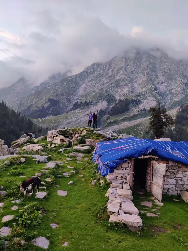 Snowline Trek 6