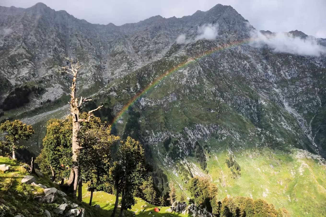 Snowline Trek 9