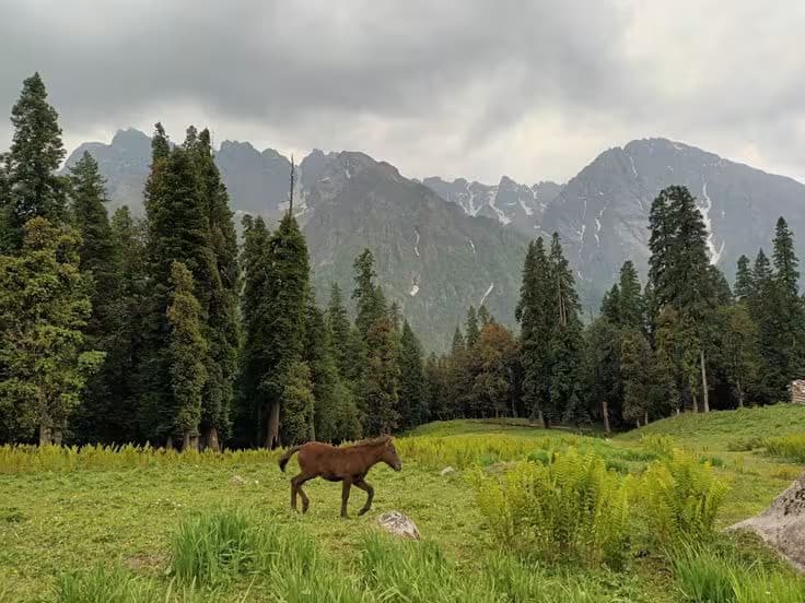 Buran Ghati Trek 1