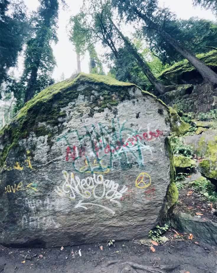 Kheerganga Trek photo 1