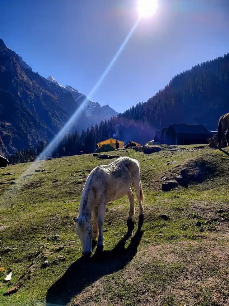 Kheerganga Trek 9