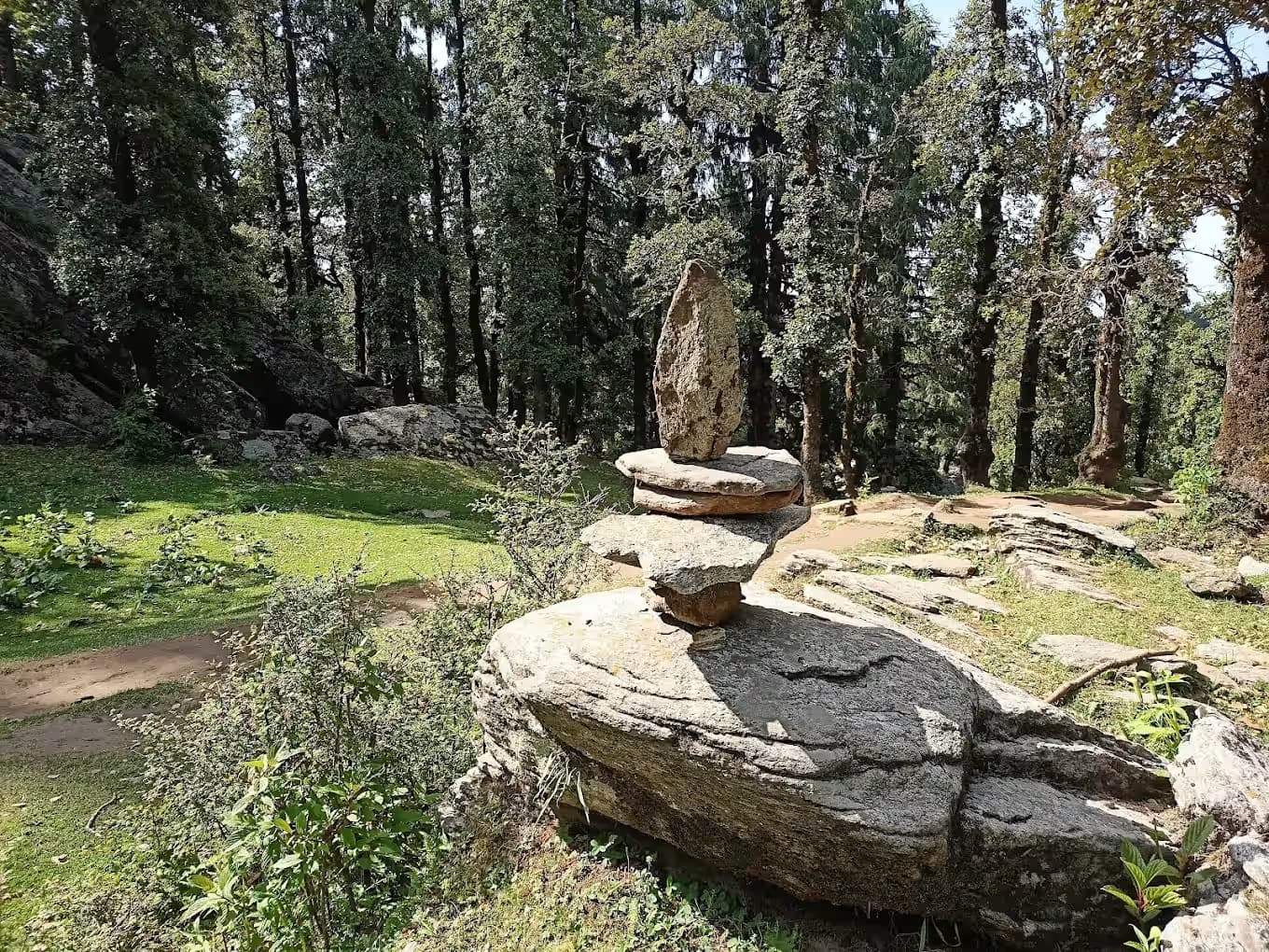 Churdhar Peak Trek 3