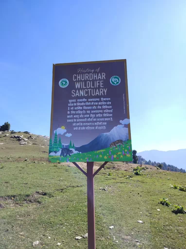 Churdhar Peak Trek 8