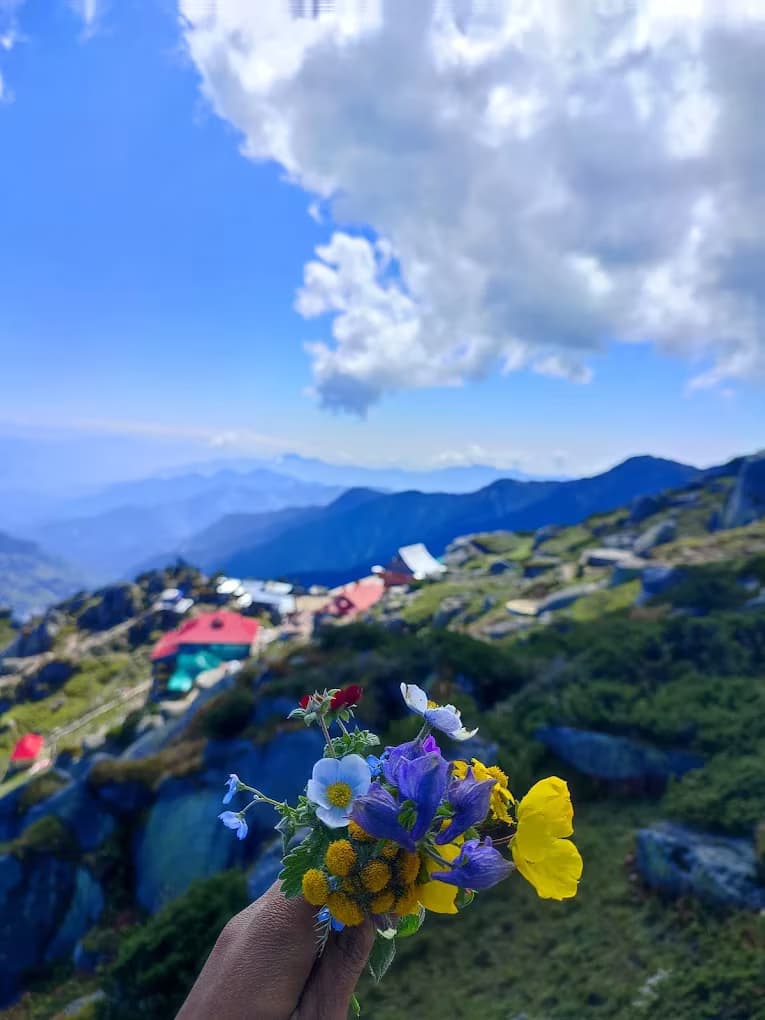 Churdhar Peak Trek 10